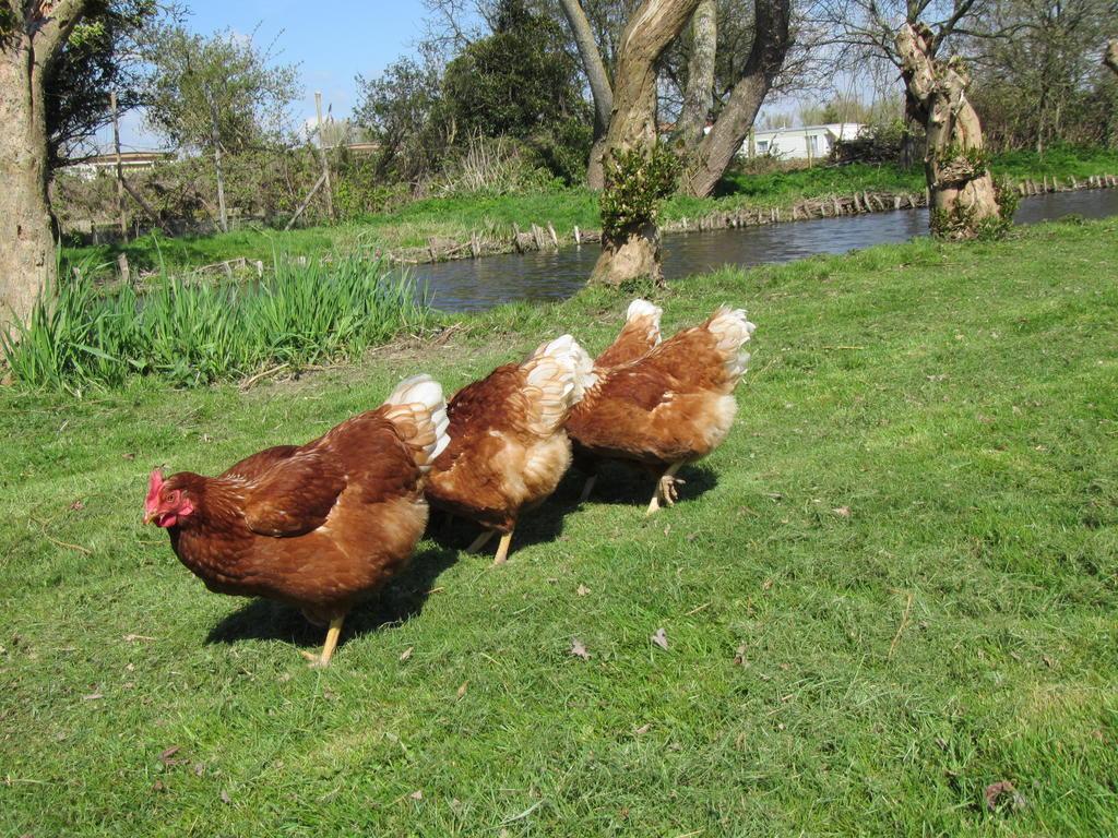 Bed&Brood De Straverdonk Graft Exterior photo